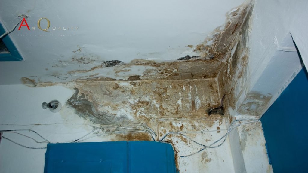 Impermeabilización de techos en Madrid: protege tu hogar con Sika y Arquality 1 Impermeabilización de techos